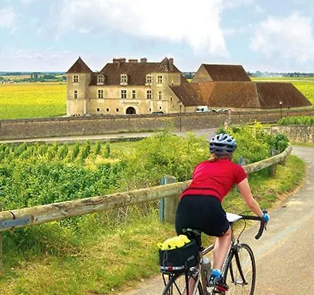 Le Chai, Chateau De Charras, Family Friendly Holiday Destination * Charras