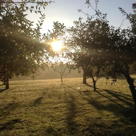 Le Chai, Chateau De Charras, Family Friendly Holiday Destination * Charras
